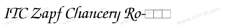 ITC Zapf Chancery Ro字体转换